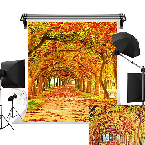 Kate 5x7ft/1.5m(W) x2.2m(H) Fall Backdrop Yellow Photography Backdrops Autumn Backgrounds Beautiful Leaves Trail Photo Studio Background