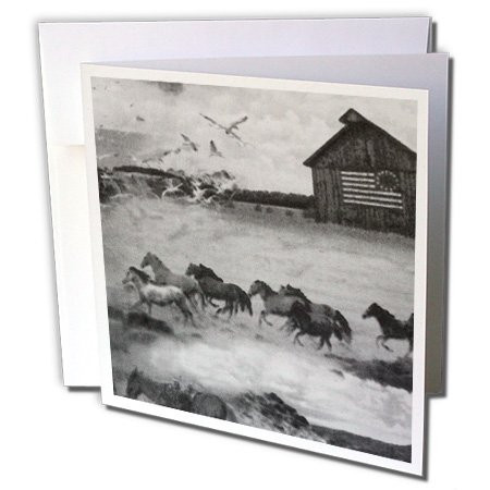 3dRose Wild Horses In Black n White - Greeting Cards, 6 x 6 inches, set of 12 (gc_29702_2)