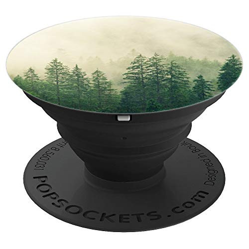 Pine Tree Forest Trees Outdoor Foggy Mountains