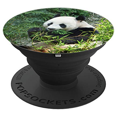 Panda - PopSockets Grip and Stand for Phones and Tablets