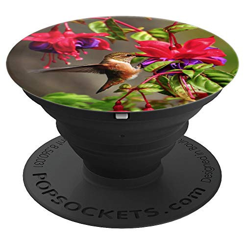 Hummingbirds, Birds, Nature, Flowers, Colorful Garden - PopSockets Grip and Stand for Phones and Tablets Hummingbirds, Birds, Nature, Flowers, Colorful Garden - PopSockets Grip and Stand for Phones and Tablets