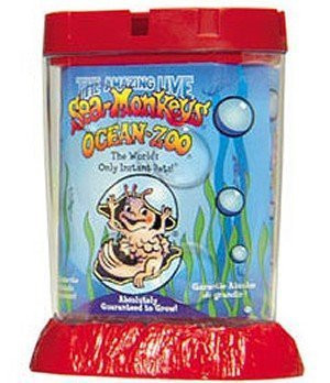 Schylling Sea Monkeys Ocean Zoo Colors May Vary