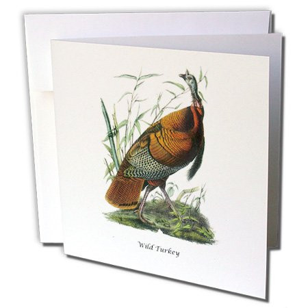 3dRose Wild Turkey by John James Audubon Greeting Cards, Set of 12 (gc_114070_2)