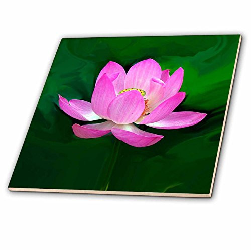 3dRose Lotus Ceramic Tile, 4-Inch