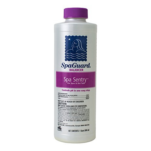 SpaGuard Spa Sentry (1 qt)