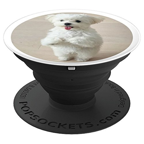 Cute Maltese Puppy Phone Stand - PopSockets Grip and Stand for Phones and Tablets Cute Maltese Puppy Phone Stand - PopSockets Grip and Stand for Phones and Tablets