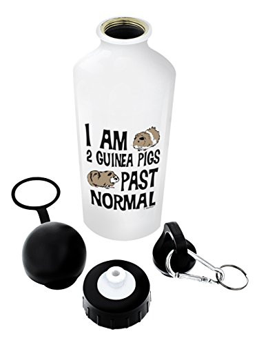 ThisWear Guinea Pig Gifts I am 2 Guinea Pigs Past Normal Funny Guinea Pig Lover Gift Gift Aluminum Water Bottle with Cap & Sport Top White