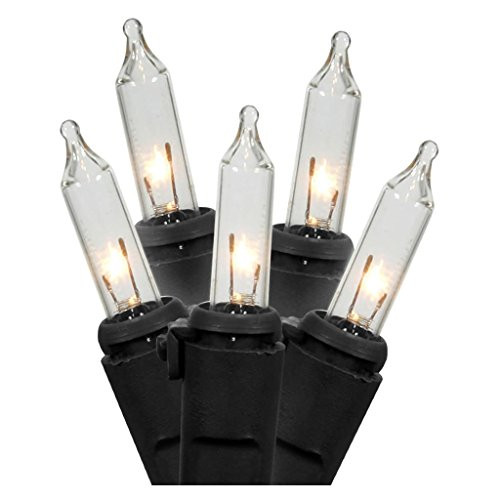 Vickerman Mini Light Set, 50Lt, Black/Clear