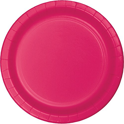 Creative Converting 553277 Touch of Color 96 Count Dinner/Large Paper Plates, Hot Magenta