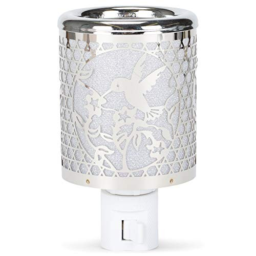 Midwest-CBK Lights in The Night, Hummingbird