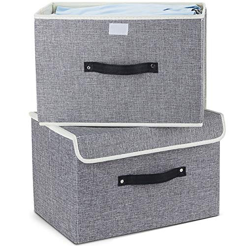 EZ GENERATION Storage Bins Set, Storage Baskets Pack of 2 Foldable Storage Boxes Cubes with Lids, Fabric Storage Bin Organizer Collapsible Box Containers for Nursery,Closet,Bedroom,Home(Light Gray)
