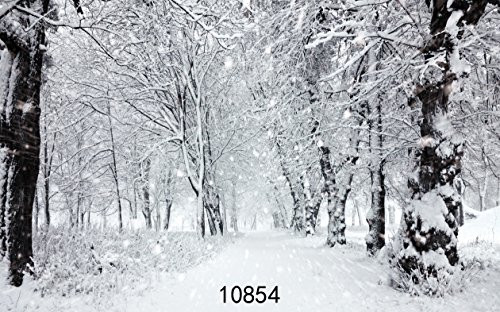 SJOLOON 7x5ft Winter Background for Photography White Frozen Snow Backdrops Forest Tree Photo Backdrop 10854 SJOLOON 7x5ft Winter Background for Photography White Frozen Snow Backdrops Forest Tree Photo Backdrop 10854