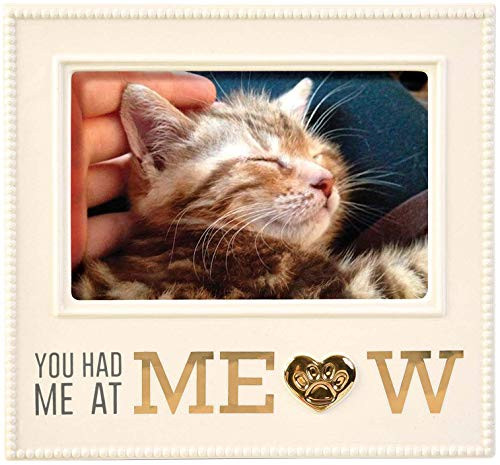 Stephanie Imports Ceramic You Had Me at Meow Cat Picture Photo Frame