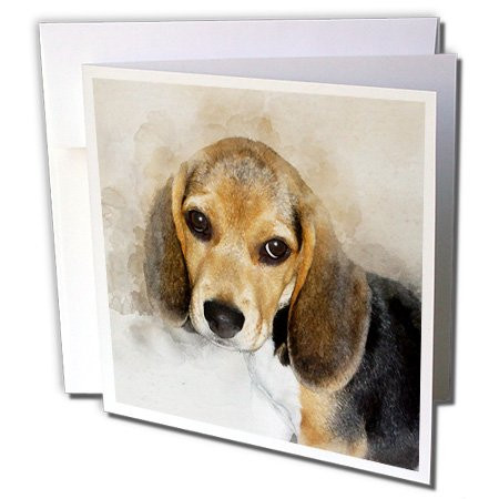 3dRose Adorable Beagle Puppy Watercolor - Greeting Cards, 6" x 6", Set of 6 (gc_245328_1)