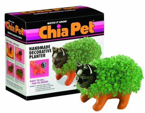 Chia Pet Kitten with Seed Pack, Decorative Pottery Planter, Easy to Do and Fun to Grow, Novelty Gift, Perfect for Any Occasion