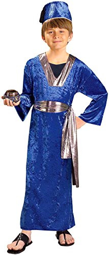 Forum Novelties Biblical Times Blue Wiseman Child Costume, Large