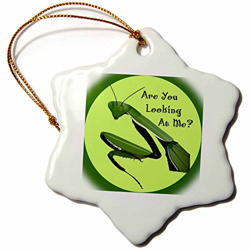 3dRose LLC Praying Mantis 3-Inch Snowflake Porcelain Ornament 3dRose LLC Praying Mantis 3-Inch Snowflake Porcelain Ornament