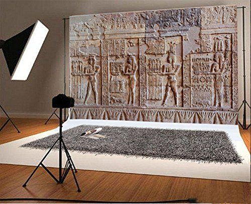 Laeacco 7x5FT Vinyl Backdrop Photography Background Egypt Mural Ancient Exterior Wall Stone Hieroglyphic Carvings Egyptian Pharaoh Portrait Art Shooting Background Photo Studio Props