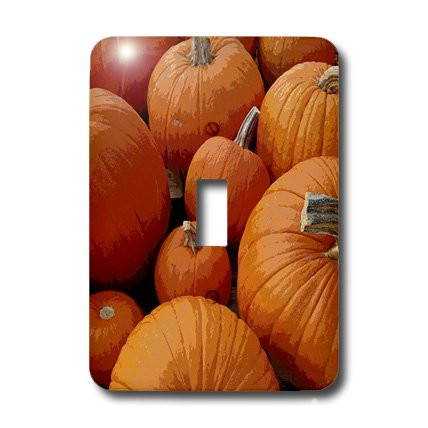 3dRose lsp_7508_1 So Many Pumpkins Single Toggle Switch Multicolor