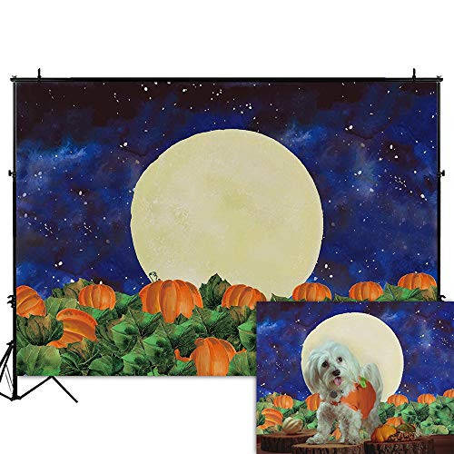 Funnytree 7x5FT Thanksgiving Pumpkin Filed Halloween Photography Backdrop for Kids Birthday Party Banner Fall Starry Sky Night Moon Background Photo Booth