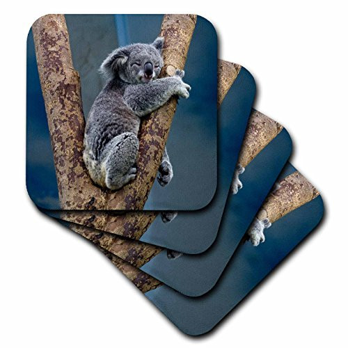 3D Rose Australia Koala Bear Ceramic Tile Coasters, Multicolor