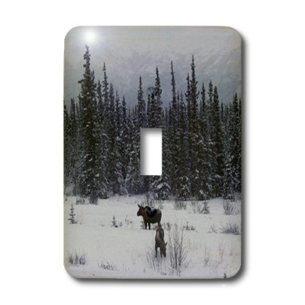 3dRose LLC lsp_14601_1 Moose Cow And Calf Eating Winter Branches In The Snowy Field 2 Single Toggle Switch