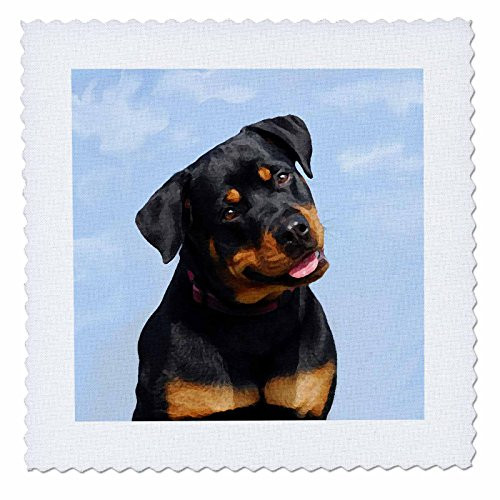3dRose qs_4375_5 Rottweiler-Quilt Square, 14 by 14-Inch