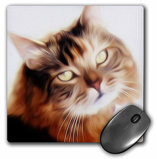 3dRose LLC 8 x 8 x 0.25 Inches Mouse Pad, Beautiful Painted Maine Coon Cat (mp_53802_1) 3dRose LLC 8 x 8 x 0.25 Inches Mouse Pad, Beautiful Painted Maine Coon Cat (mp_53802_1)