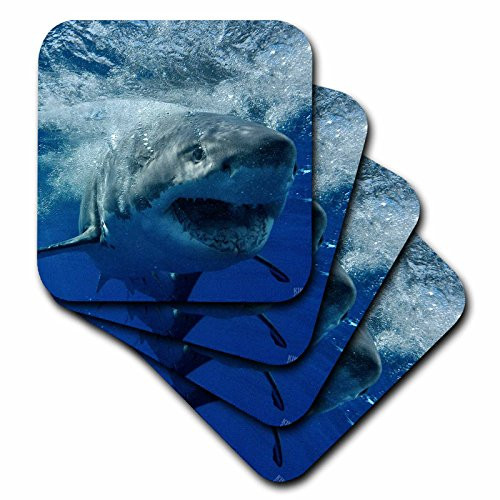3dRose CST_10587_1 Great White Shark-Soft Coasters, Set of 4