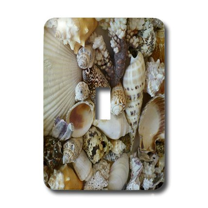 3dRose lsp_7337_1 Shells Of Sanibel Single Toggle Switch Multicolor