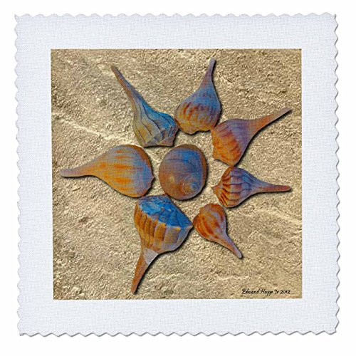 3dRose qs_52457_5 Seashells in The Sand Quilt Square, 14 by 14-Inch