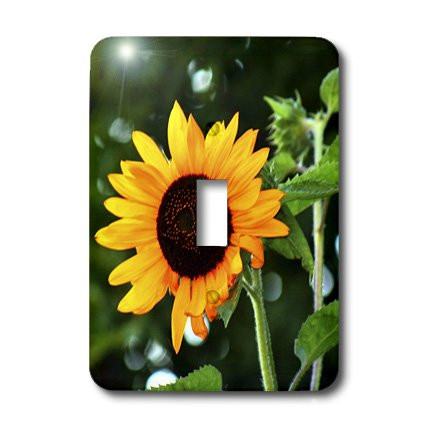 3dRose lsp_48787_1 Sunny Orange Sunflower Toggle switch