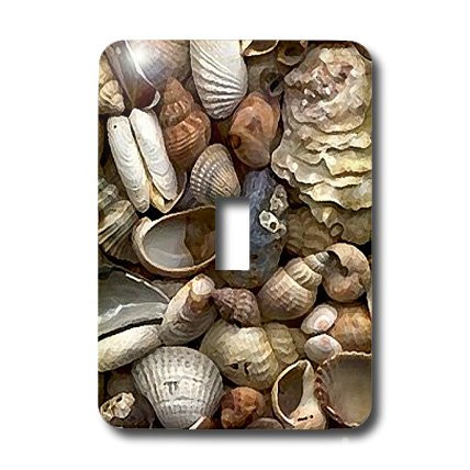 3dRose lsp_4381_1 Sea Shells Single Toggle Switch