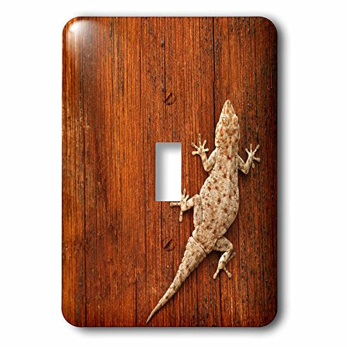 3dRose lsp_73116_1 Tokay Gecko lizard, Striated Wood, Africa Single Toggle Switch
