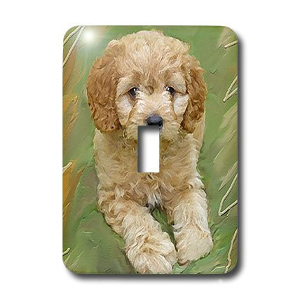 3dRose lsp_4815_1"Miniature Poodle Puppy" Single Toggle Switch