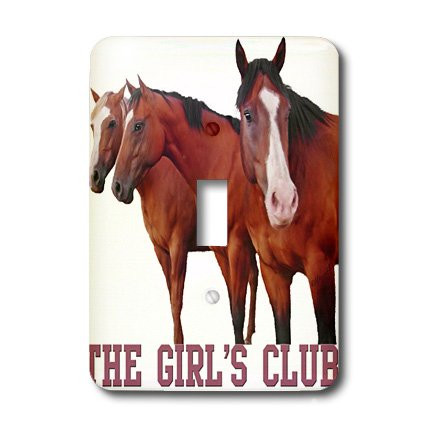 3dRose LLC lsp_11989_1 The Girls Club, Single Toggle Switch