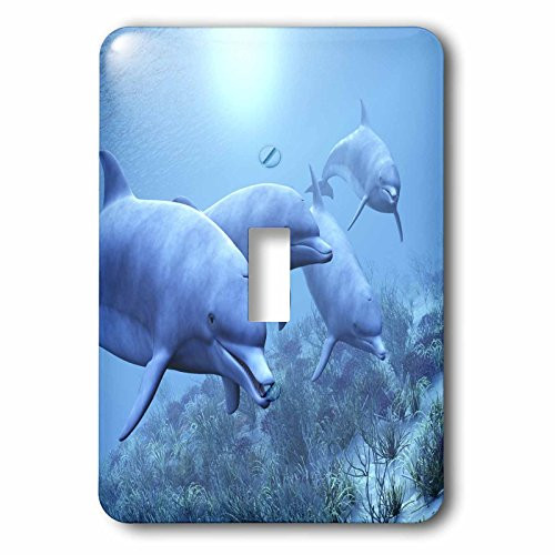 3dRose lsp_55192_1"Dolphins Play Underwater - Single" Toggle Switch