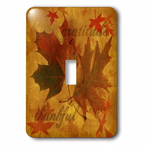 3dRose lsp_52315_1 Autumn Leaves With Gratitude Toggle switch