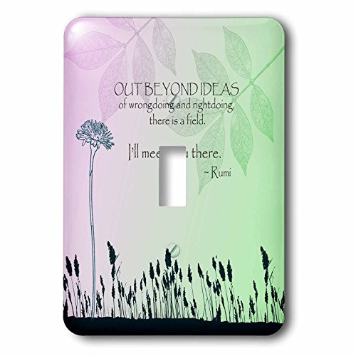 3dRose lsp_79325_1 Out Beyond Ideas Rumi Quotes Inspirational Art Single Toggle Switch