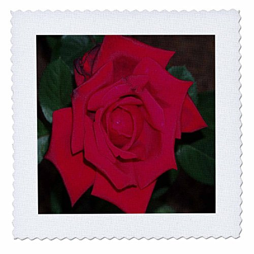 3dRose qs_14153_5 Rose Background Quilt Square, 14 by 14-Inch, Red/Green 3dRose qs_14153_5 Rose Background Quilt Square, 14 by 14-Inch, Red/Green