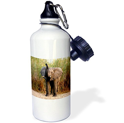 3dRose wb_994_1 Elephant Sports Water Bottle, 21 oz, White