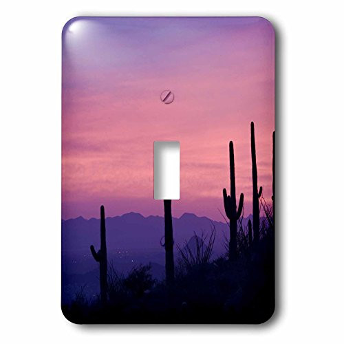 3dRose lsp_87797_1 Arizona, Tucson, Avra Valley, Tortolita Mountains Us03 Bja0073 Jayne's Gallery Single Toggle Switch
