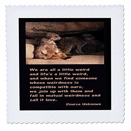 3dRose qs_12175_5 Meerkats, We Are a Little Weird Quilt Square, 14 by 14-Inch