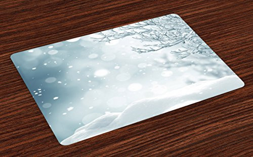 Ambesonne Winter Place Mats Set of 4, Christmas Image Snow and Frosted Tree Snowflakes Winter Season Illustration, Washable Fabric Placemats for Dining Table, Standard Size, Blue White Ambesonne Winter Place Mats Set of 4, Christmas Image Snow and Frosted Tree Snowflakes Winter Season Illustration, Washable Fabric Placemats for Dining Table, Standard Size, Blue White