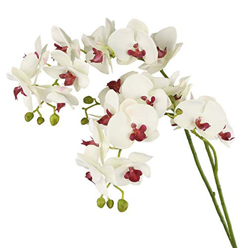 Rinlong 2pcs Silk Orchids 35" White Orchid Artificial Flowers Real Touch Phalaenopsis Cymbidium Stem for Table Centerpiece Home Kitchen Office Wedding Decoration