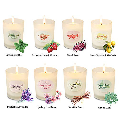 Scented Candles Aromatherapy Christmas Gifts Set Glass Jar Candle Luxury Natural Soy Wax Fragrance Essential Oils for Women Xmas Stress Relief Relaxation Birthday Gift Scented Candles Aromatherapy Christmas Gifts Set Glass Jar Candle Luxury Natural Soy Wax Fragrance Essential Oils for Women Xmas Stress Relief Relaxation Birthday Gift