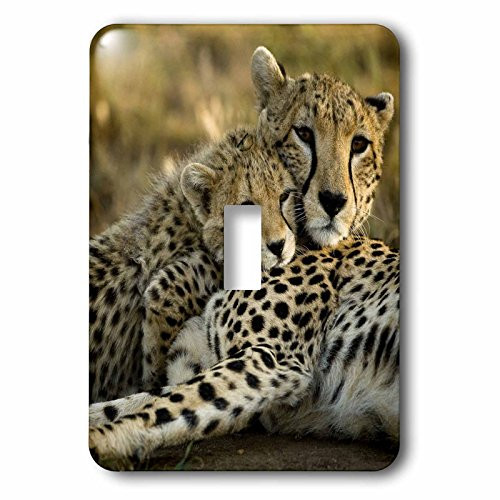 3dRose lsp_71059_1 Cheetah with cub in the Masai Mara GR, Kenya Single Toggle Switch
