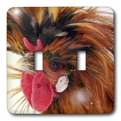 3dRose lsp_6428_2 Polish Rooster Double Toggle Switch Multicolored