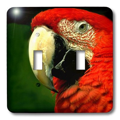 3dRose lsp_685_2 Green - Winged Macaw Double Toggle Switch