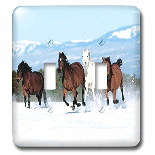 3dRose LLC lsp_55180_2 Beautiful Horses Running in The Snow, Double Toggle Switch
